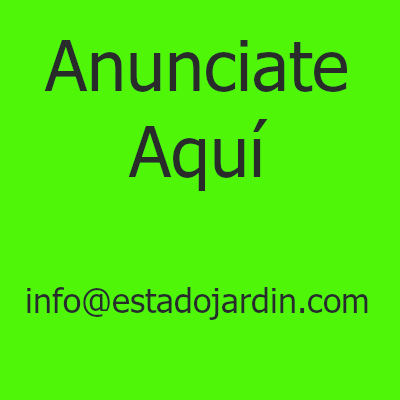 spot_img