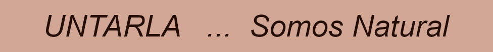 spot_img